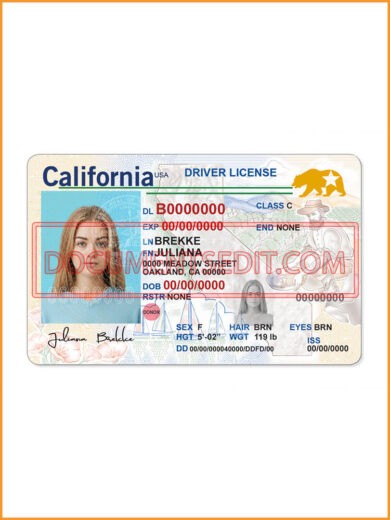 California Driving License