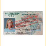 Mississippi Driver License new Template