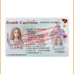 South Carolina DL