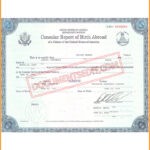 Consular Report Of Birth Abroad-United States Of America