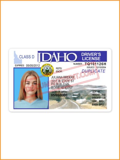 Idaho Driver License
