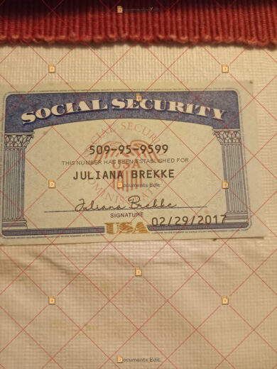Social Security Card
