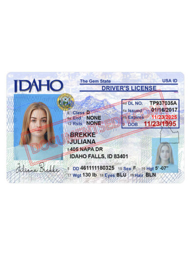 Idaho Driver License PSD Template New f