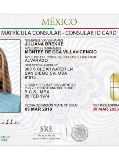 Mexico Consular ID Card