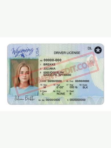 Wyoming Driver License Template New ff
