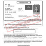Ohio Interim DL Documentation