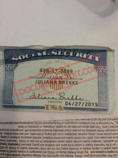 Social Security Card Template 95 f