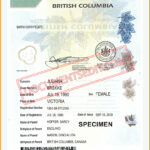 British Columbia Birth Certificate